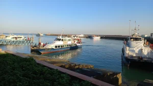 دسترسی به برنامه حرکت شناورها از قشم به بندرعباس